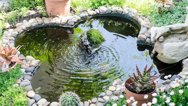 amenager son jardin grace au feng shui