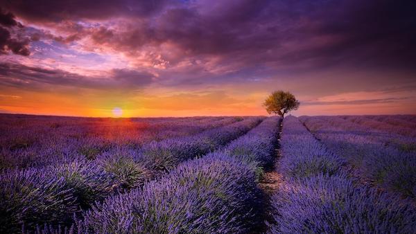 les-couleurs-et-leur-impact-sur-notre-psyché